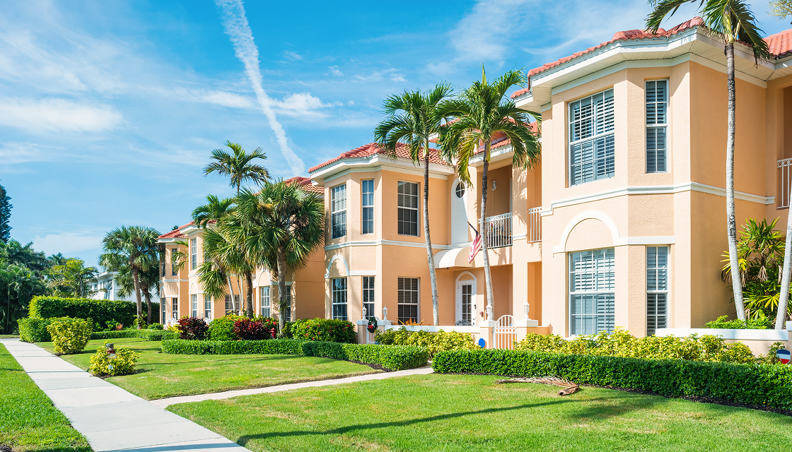 Residential area with manicured lawns and palm trees